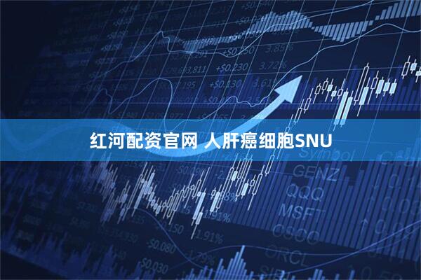 红河配资官网 人肝癌细胞SNU