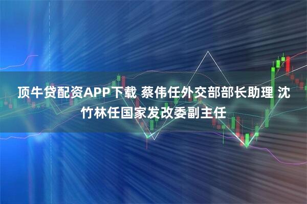 顶牛贷配资APP下载 蔡伟任外交部部长助理 沈竹林任国家发改委副主任