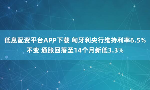 低息配资平台APP下载 匈牙利央行维持利率6.5%不变 通胀回落至14个月新低3.3%