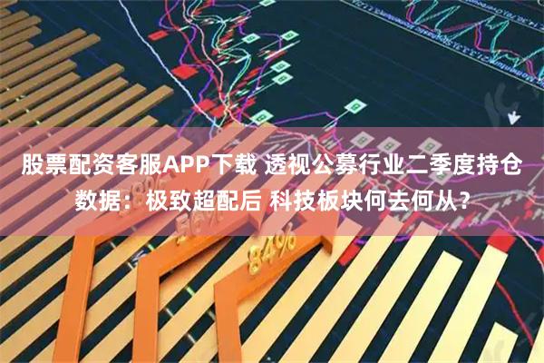 股票配资客服APP下载 透视公募行业二季度持仓数据：极致超配后 科技板块何去何从？
